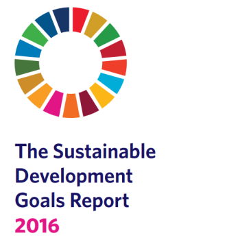 SDG report pic